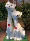 loving cats.JPG (80 KB)